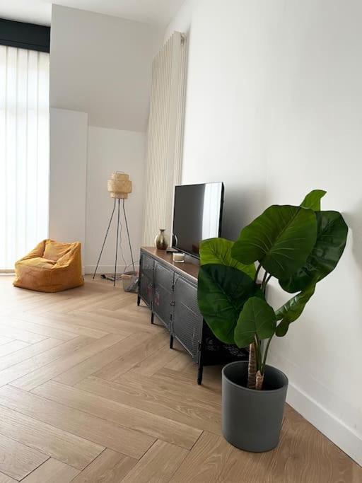 Appartement Cocon D'Alsace à Colmar Extérieur photo